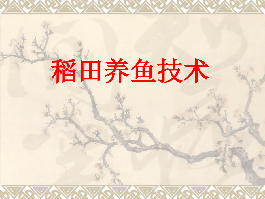 稻田养鱼技术.ppt_第1页