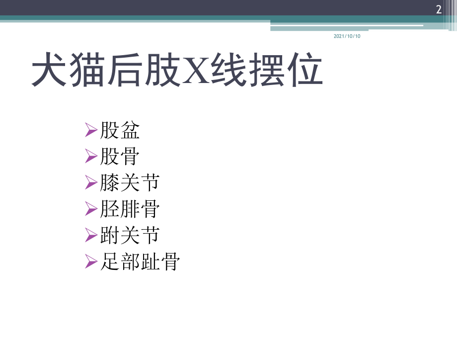 犬猫X线摆位--后肢.ppt_第2页