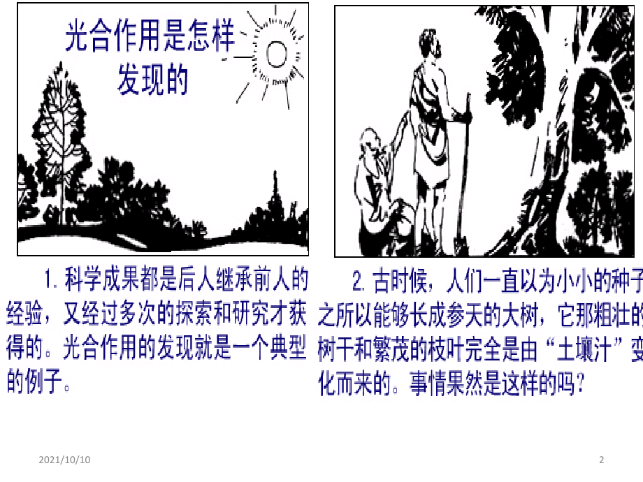 植物光合作用吸收二氧化碳释放氧气【优质PPT】.ppt_第2页