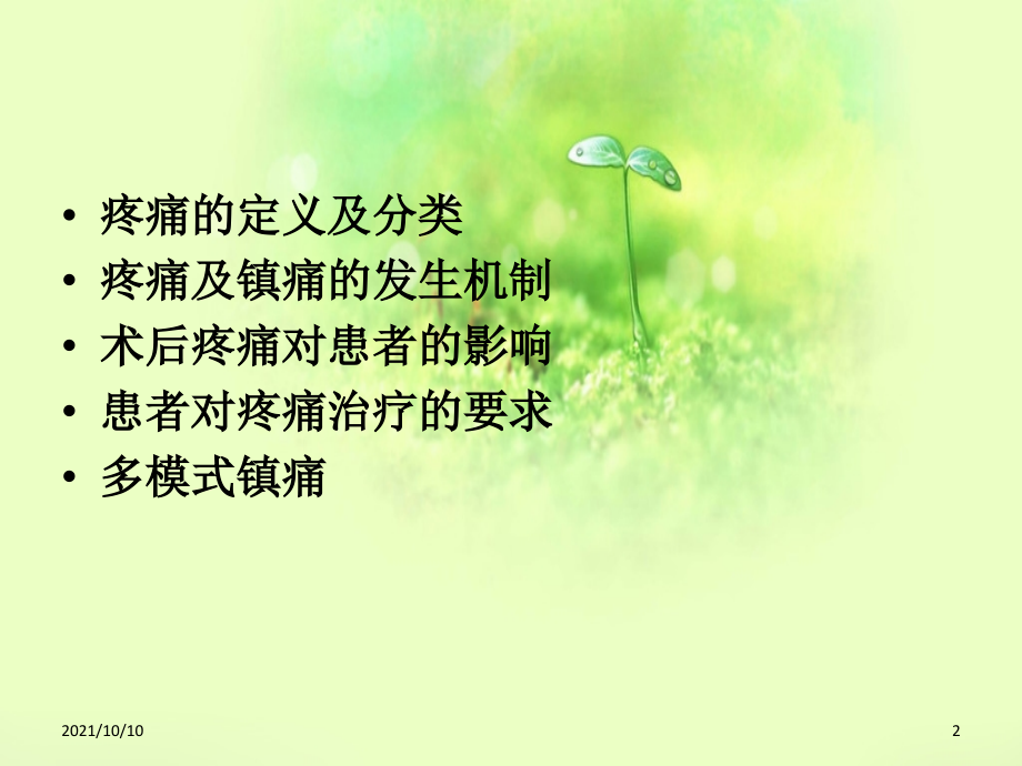 多模式镇痛.ppt_第2页