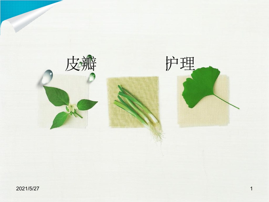 皮瓣的观察与护理.ppt_第1页