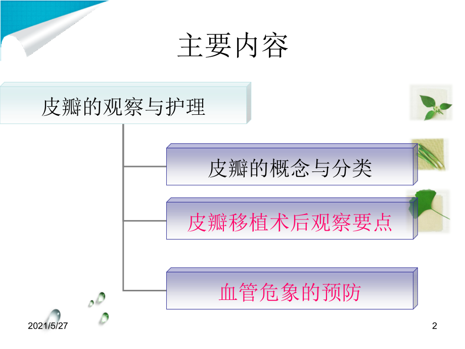 皮瓣的观察与护理.ppt_第2页