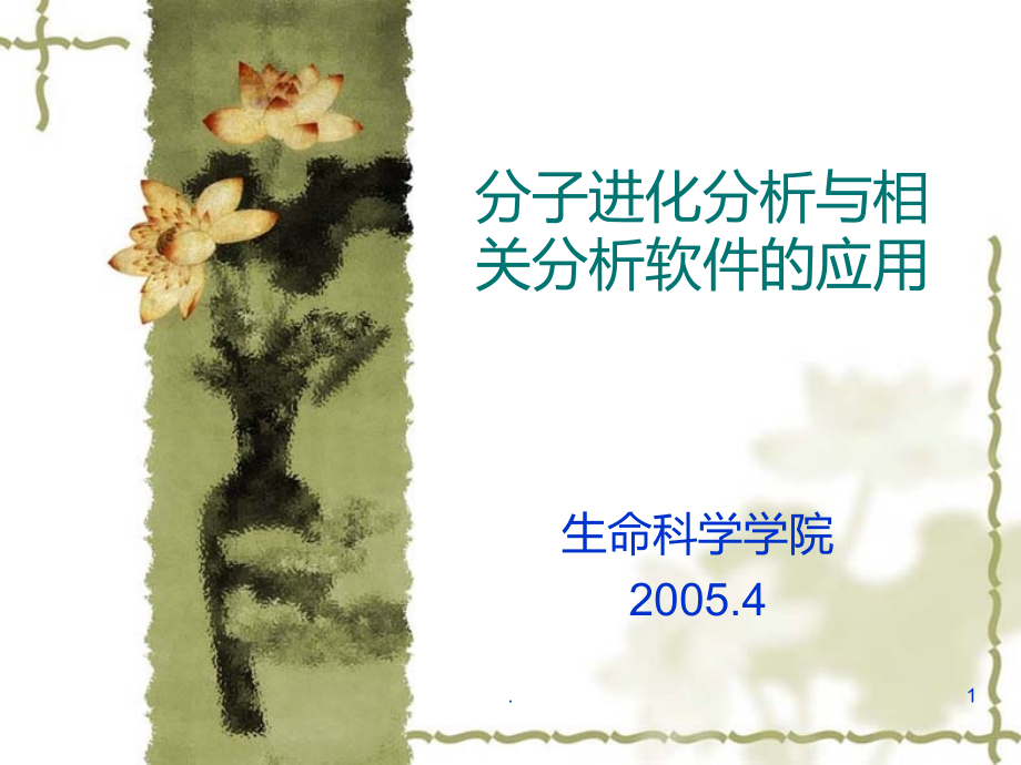 分子进化分析与相关分析软件的应用.ppt_第1页