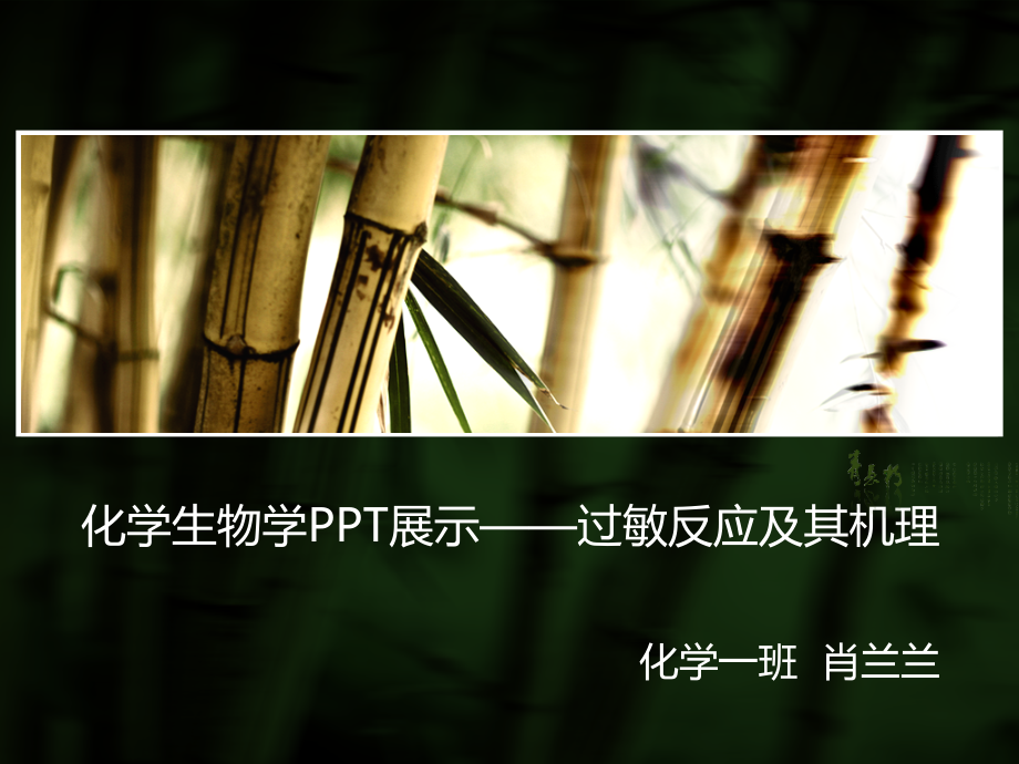 过敏反应及其机理.ppt_第2页