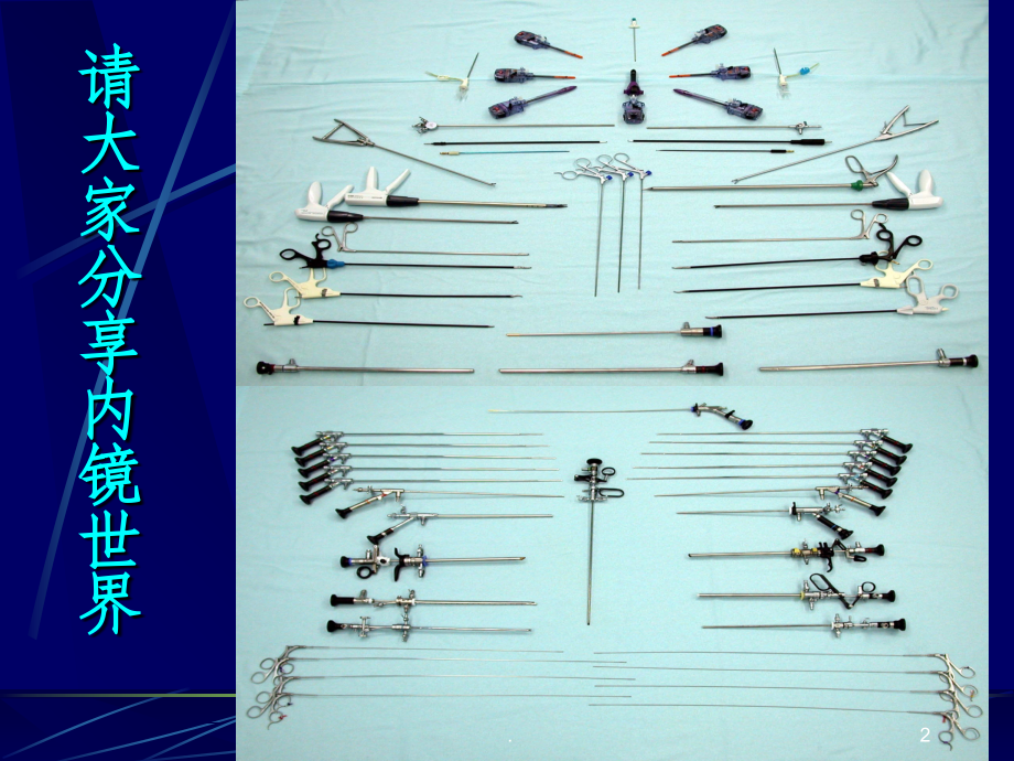 硬式内镜的清洗消毒及灭菌课件.ppt_第2页