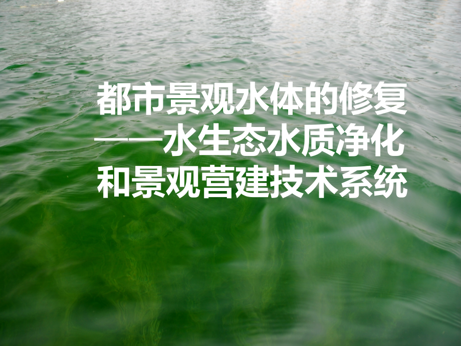 水生态修复系统介绍课件市公开课一等奖百校联赛获奖课件.ppt_第1页