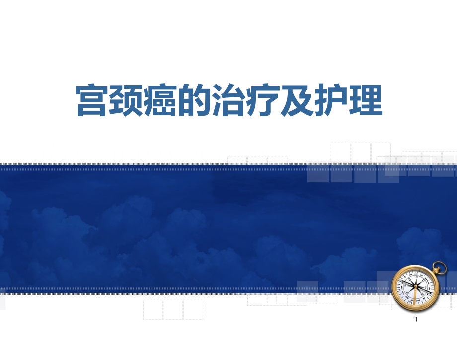宫颈癌的治疗及护理新.ppt_第1页