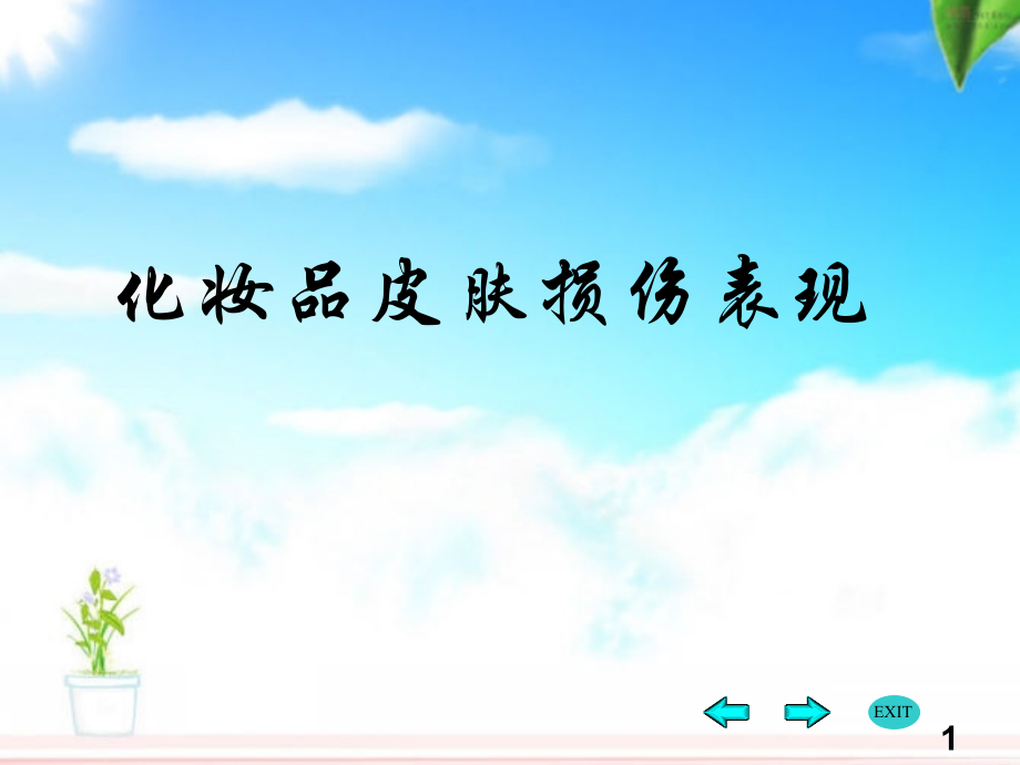 化妆品皮肤损伤表现.ppt_第1页