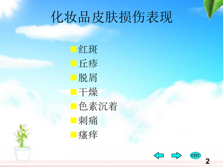 化妆品皮肤损伤表现.ppt_第2页