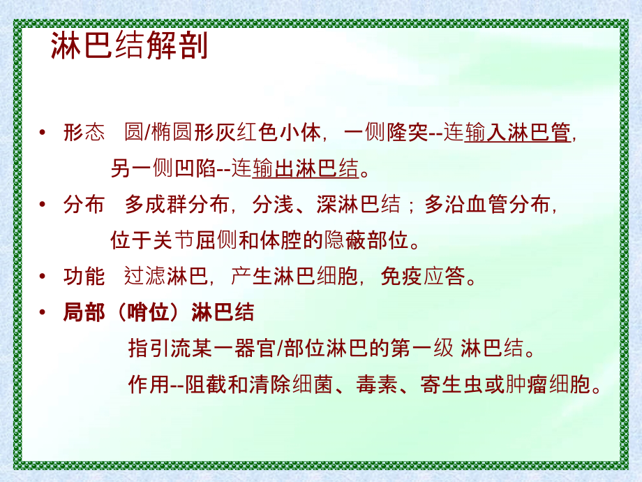 淋巴结反应性增生精美.ppt_第2页