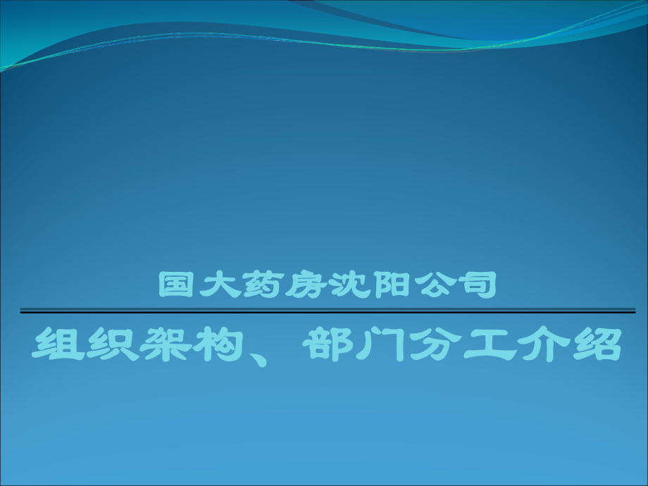 公司组织架构部门分工介绍.ppt_第1页
