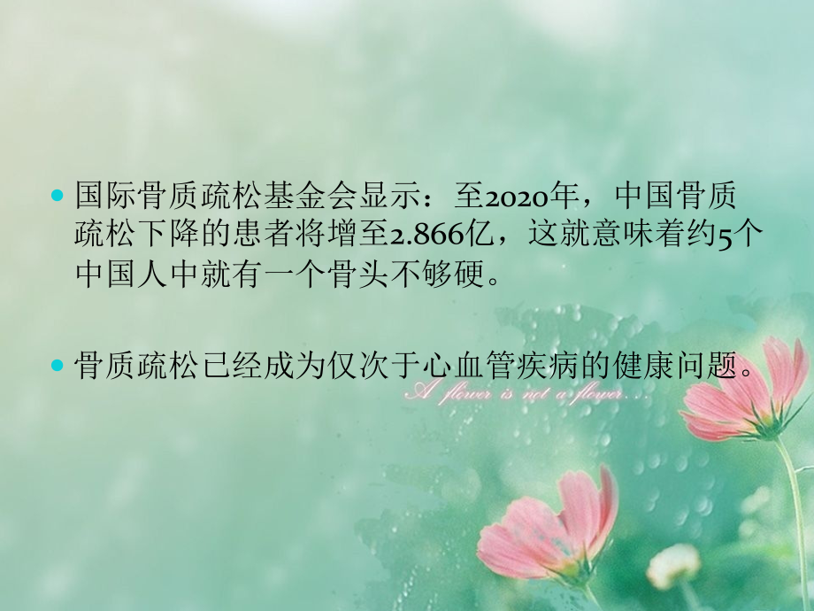 骨质疏松病人护理PPT.ppt_第2页