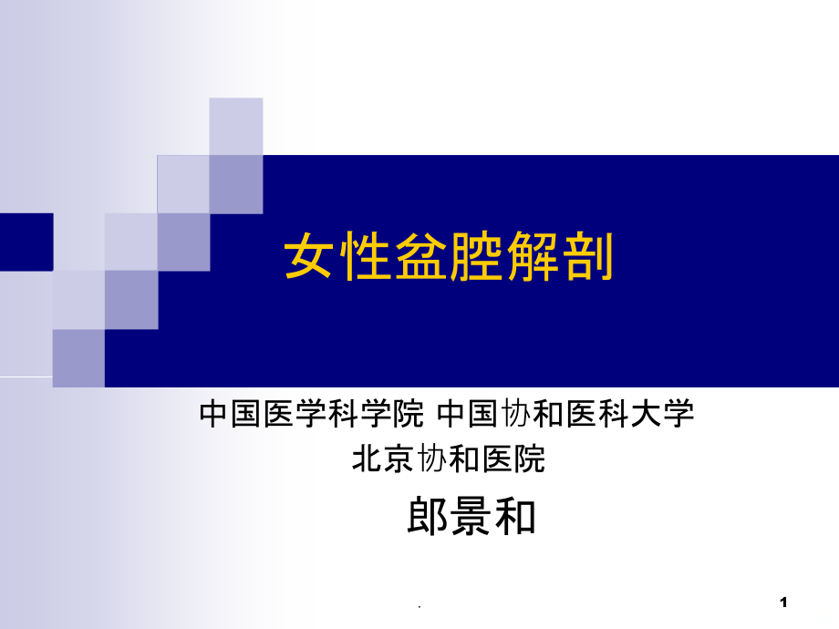 盆腔解剖终末版.ppt_第1页
