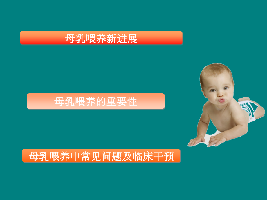 母乳喂养新进展.ppt_第2页