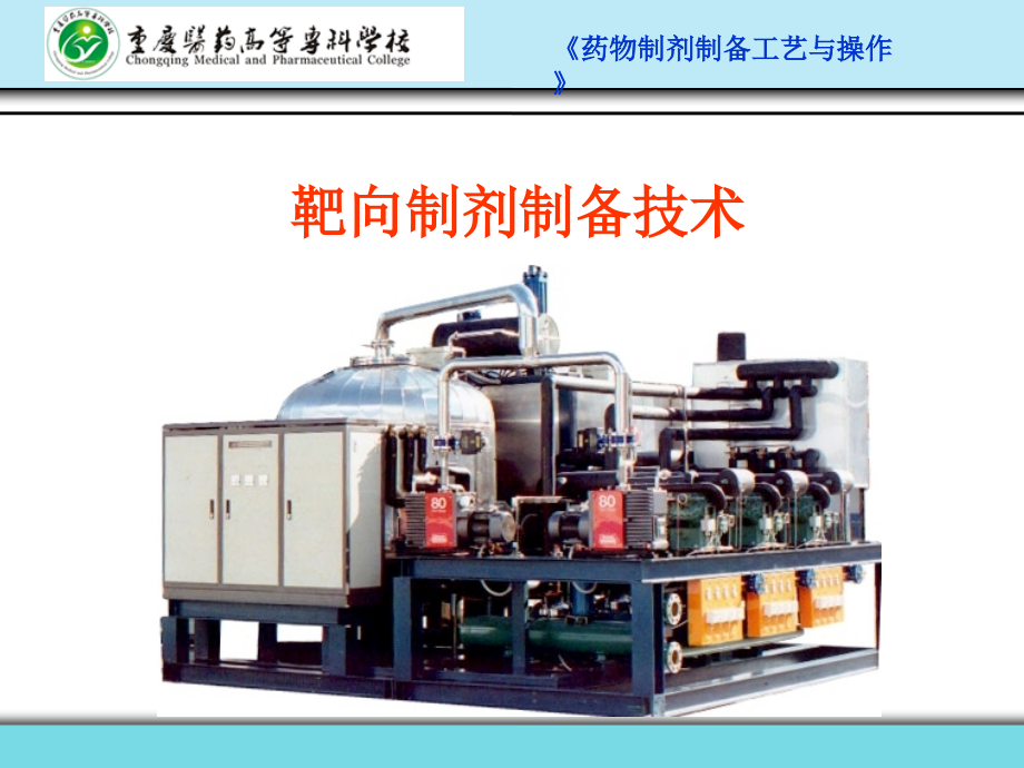 靶向制剂制备技术.ppt_第1页