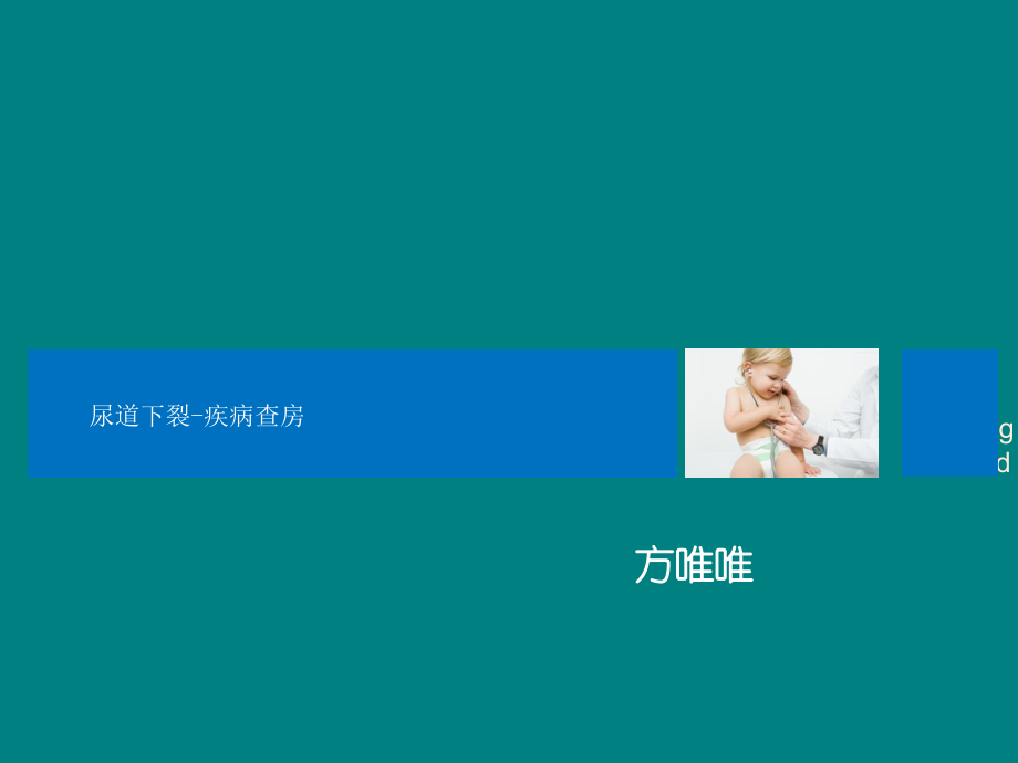 尿道下裂疾病查房.ppt_第1页