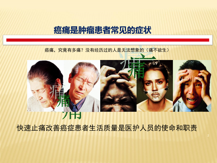 护理人员在癌痛管理中的角色与作用---修改.ppt_第2页