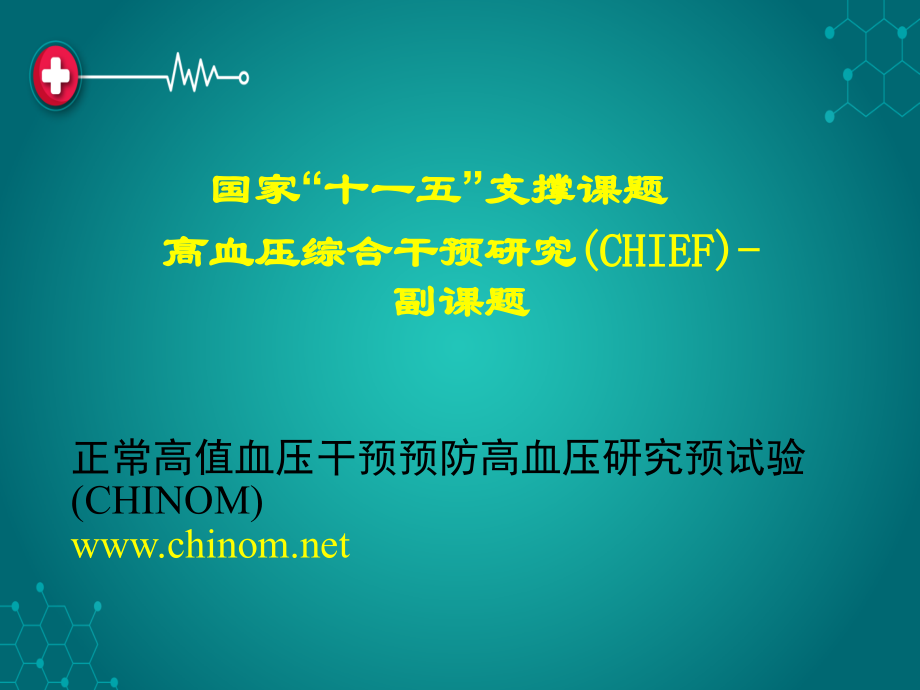 国家十一五课题--CHINOM方案.ppt_第1页
