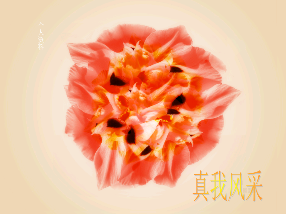 个人风采展示初稿.ppt_第2页