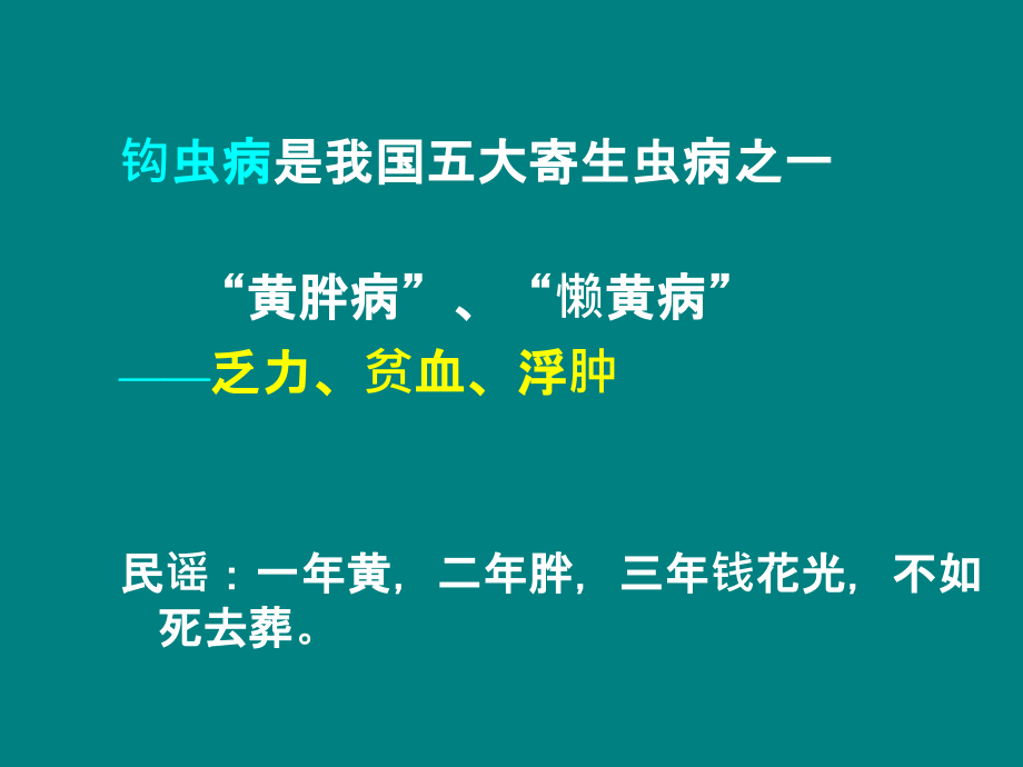 寄生虫-钩虫.ppt_第2页