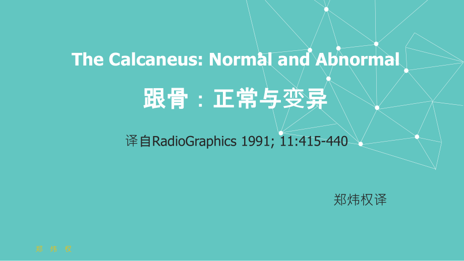 跟骨正常与变异.ppt_第1页