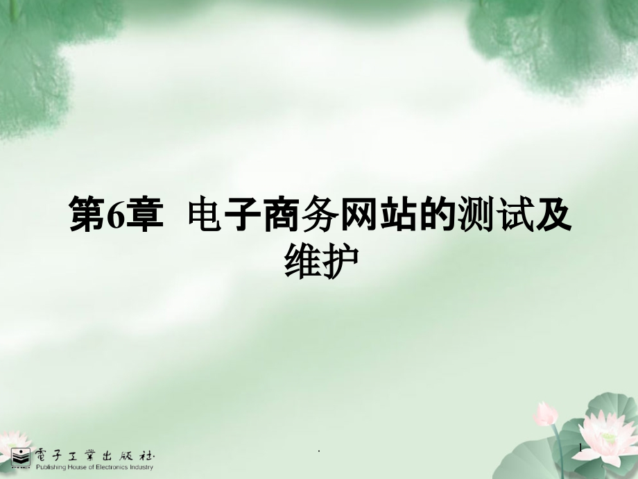 电子商务网站的测试及维护PPT课件.ppt_第1页