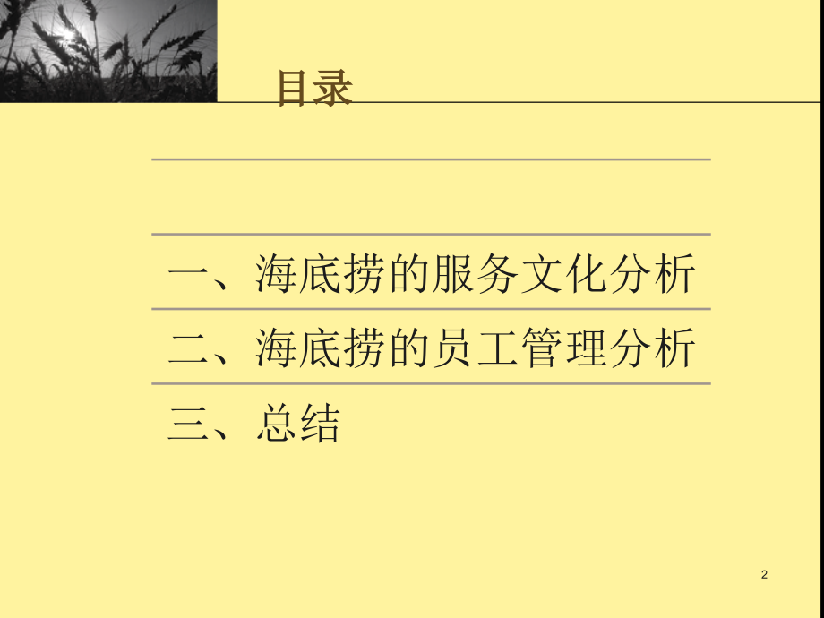 管理学-海底捞案例分析.ppt_第2页