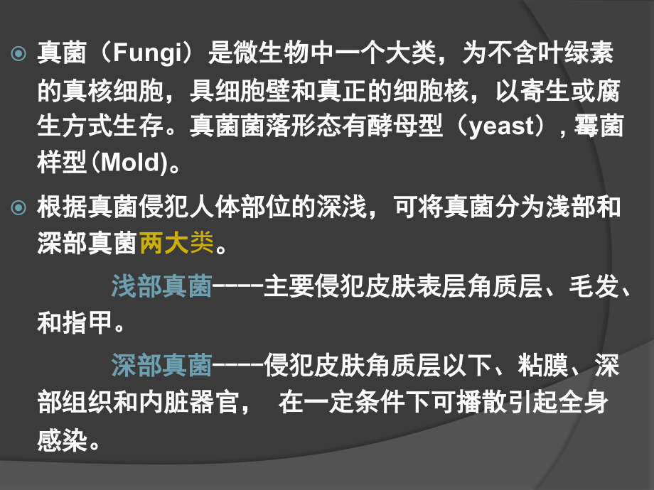深部真菌.ppt_第2页
