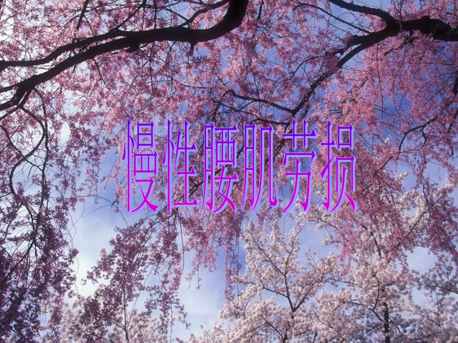 慢性腰肌劳损.ppt_第1页