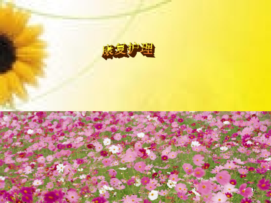 康复护理-.ppt_第1页