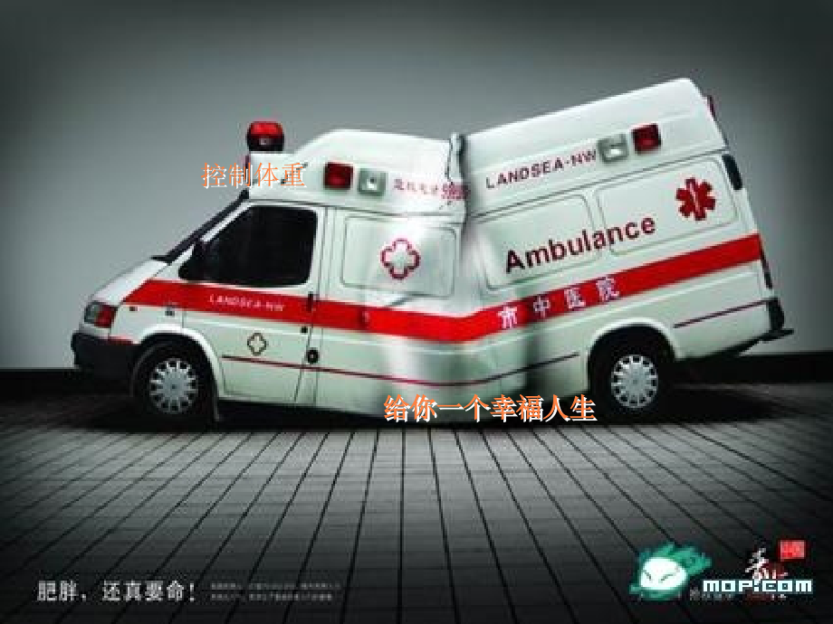 浅谈肥胖形成原因ppt课件.ppt_第1页