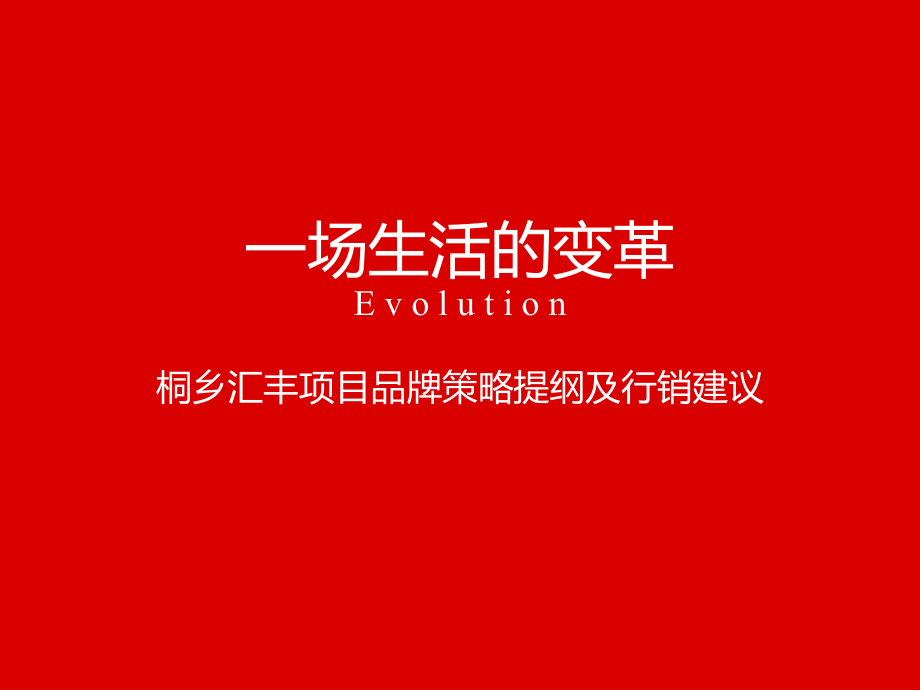 品牌策略提纲.ppt_第1页