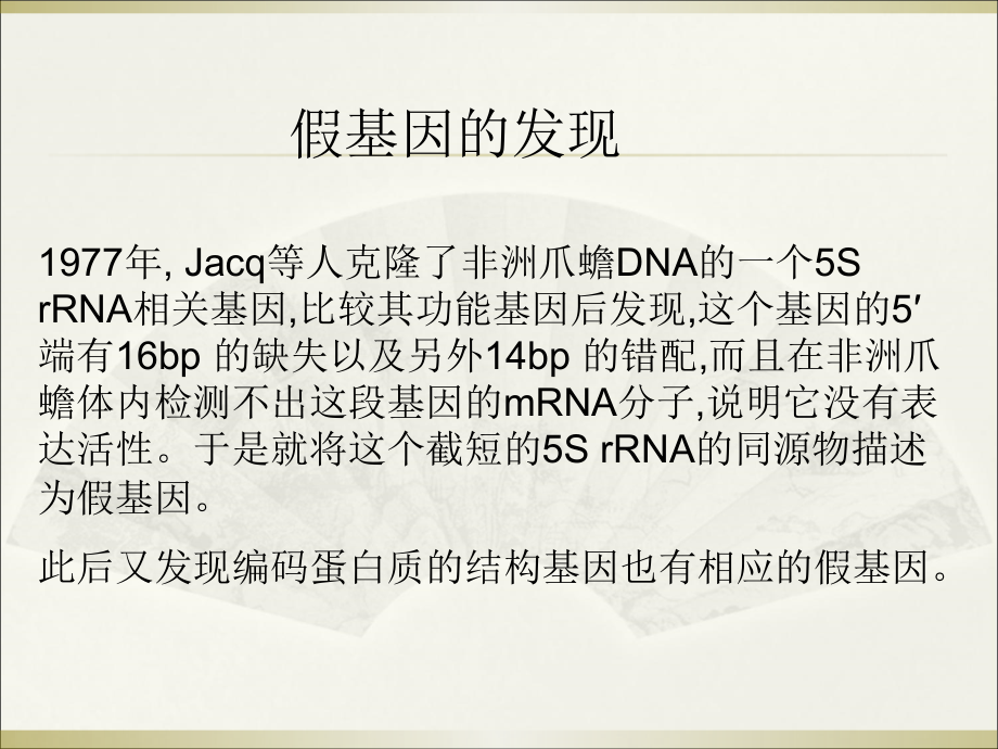 假基因简介PPT.ppt_第2页