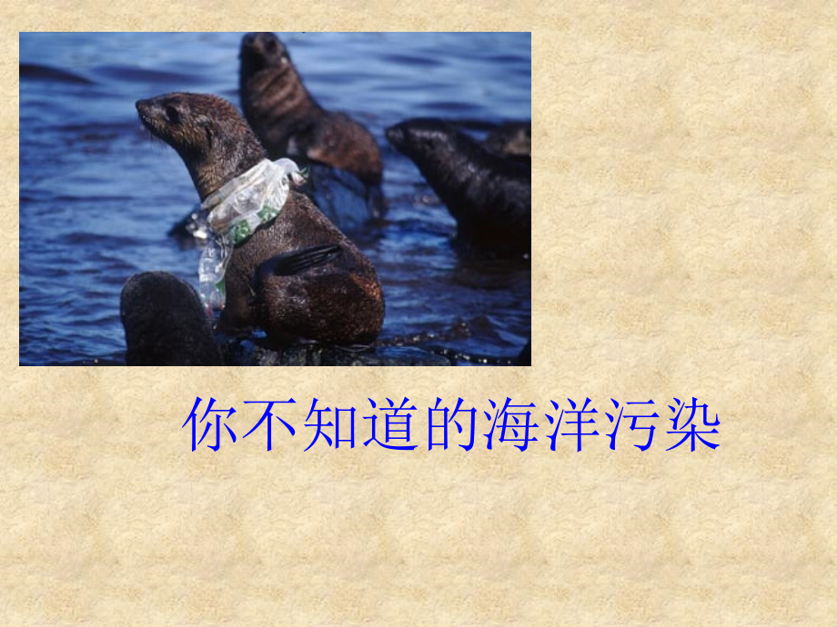 海洋环境保护50316.ppt_第2页