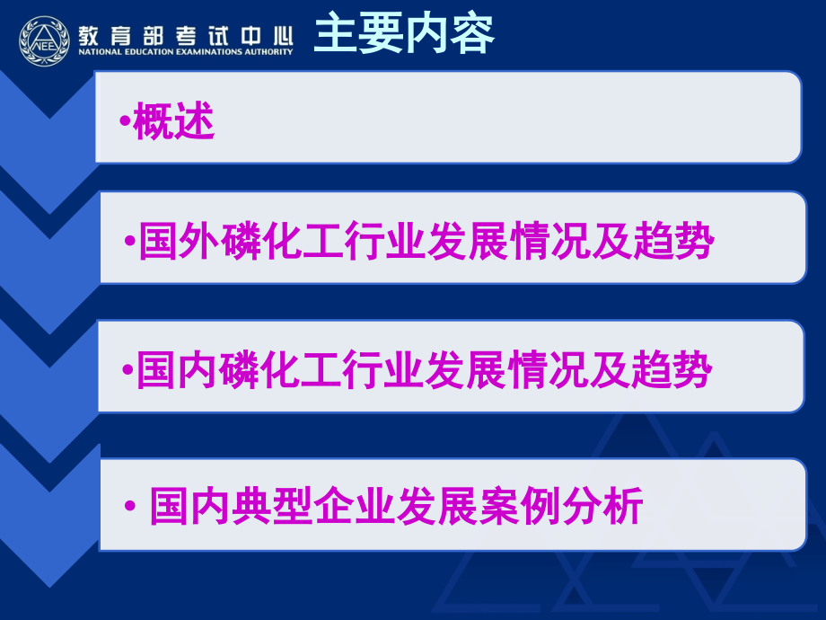 国内外磷化工行业发展趋势分析.ppt_第2页