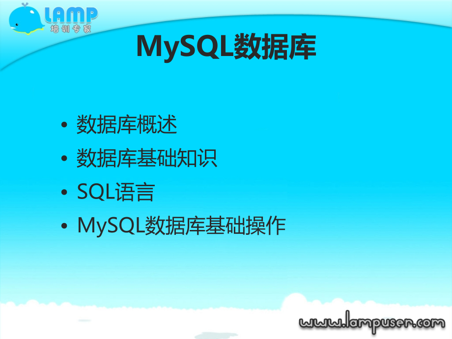 mysql教程13376PPT课件.ppt_第2页