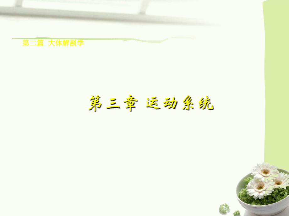 骨学ppt课件.ppt_第1页