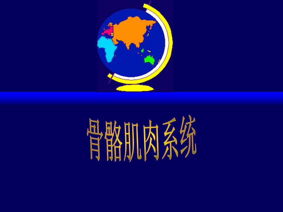 骨骼肌肉系统检查技术.ppt_第1页