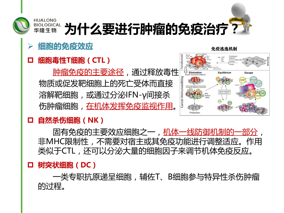 肿瘤免疫细胞治疗临床应用(流程).ppt_第2页