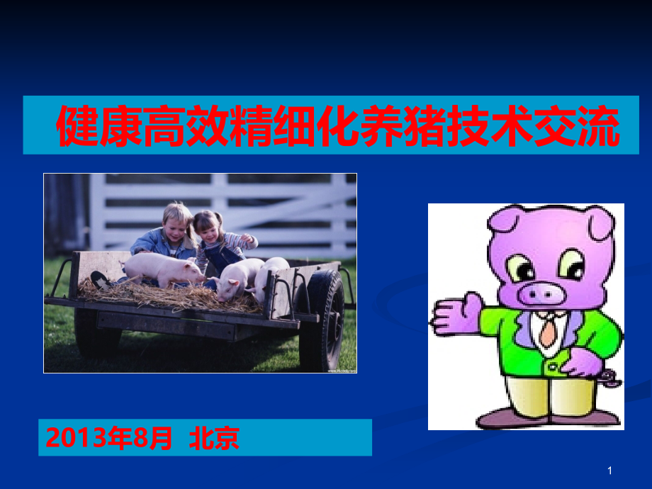 健康、高效、精细化养猪技术交流.ppt_第1页