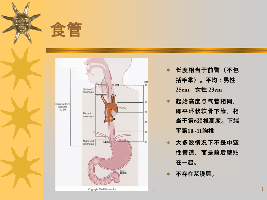 食管异物护理查房.ppt_第1页