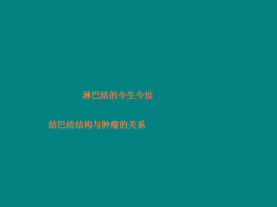 淋巴结的今生今世.ppt_第1页