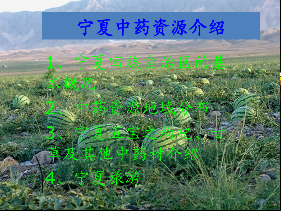 宁夏中药资源介绍.ppt_第1页