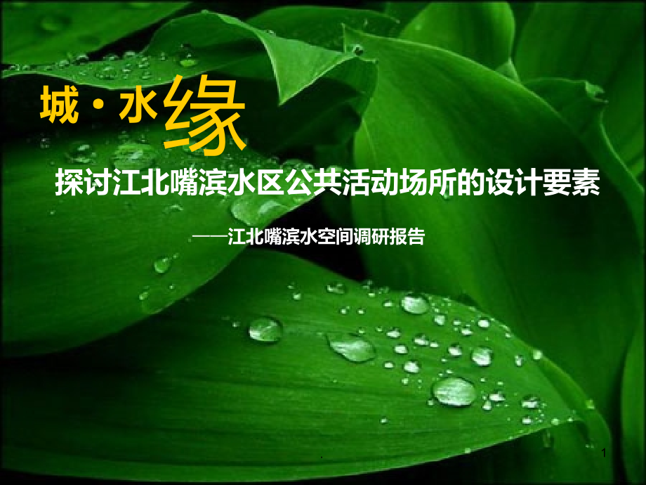 江北嘴滨水空间调研报告.ppt_第1页