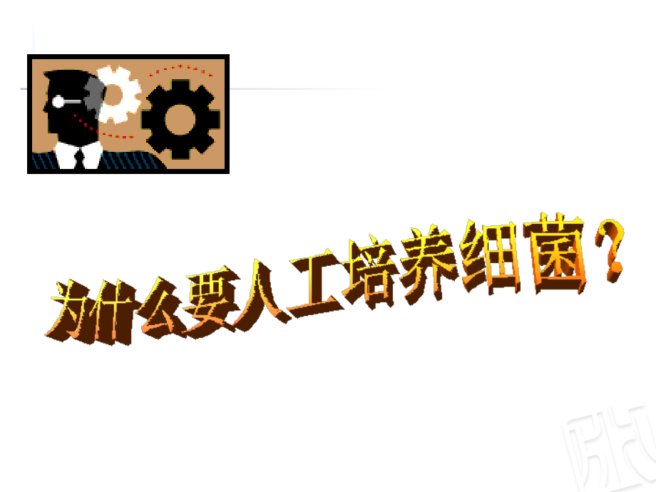 细菌的人工培养方法及意义(平板划线).ppt_第2页