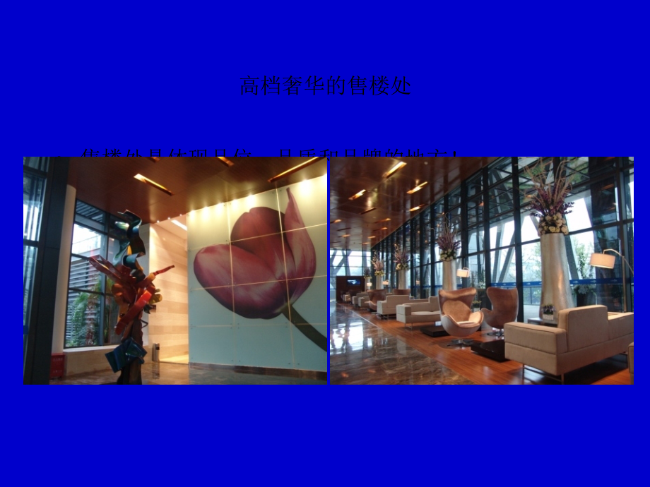 龙湖地产项目展示包装考察报告.ppt_第2页