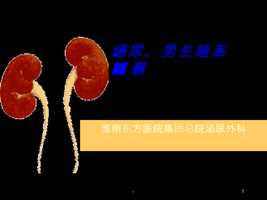 泌尿外科总论.ppt_第1页