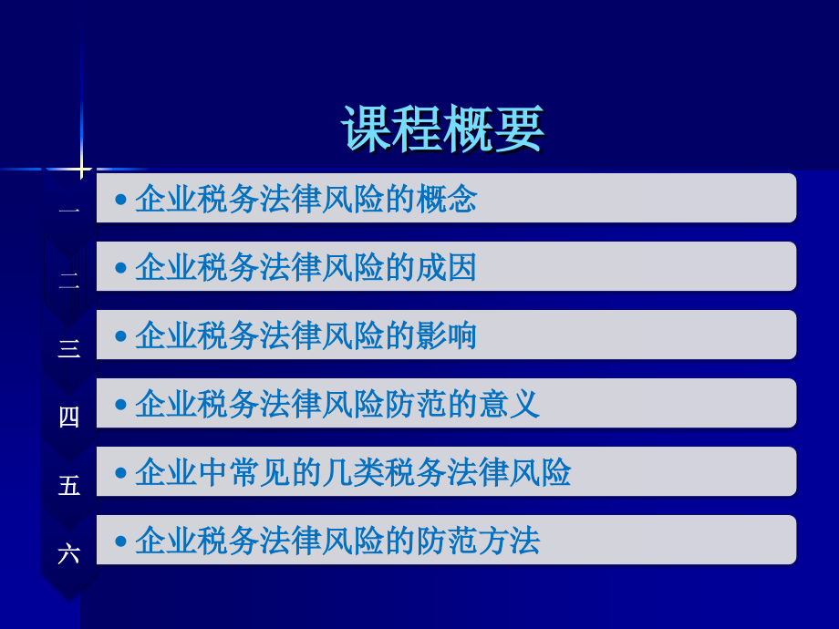 企业税务法律风险防范.ppt_第2页