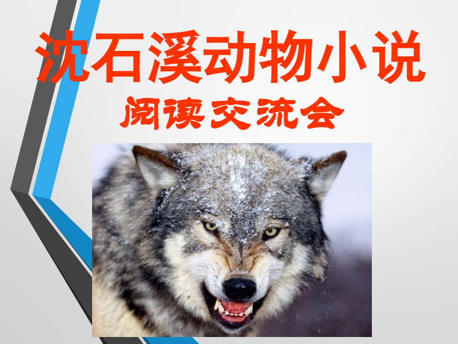 沈石溪动物小说读书交流会.ppt_第1页