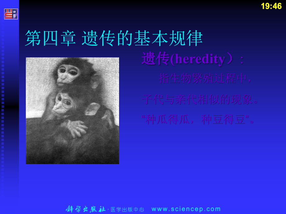 节医学遗传学.ppt_第1页